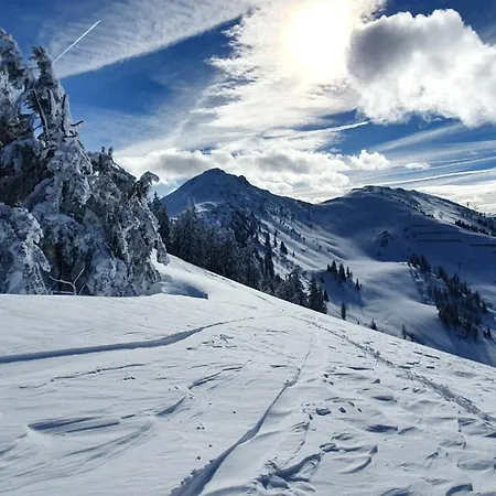 Haus Schartner Flachau